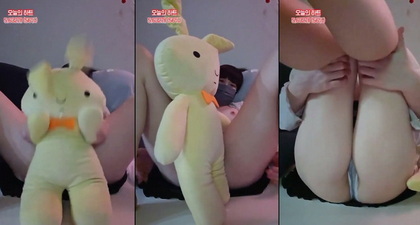 KBJ-24041107: Premium HD Experience Now Available